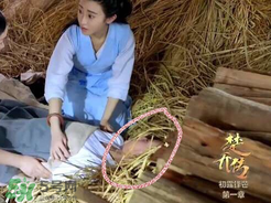 諜紙?zhí)煅酆屯鸂I(yíng)有什么關(guān)系？