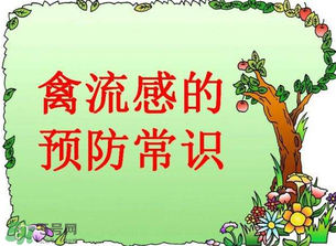 6月有禽流感嗎？2017年6月有禽流感嗎？