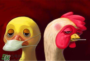 6月有禽流感嗎？2017年6月有禽流感嗎？