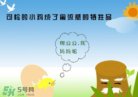 6月有禽流感嗎？2017年6月有禽流感嗎？