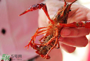 2017盱眙龍蝦節(jié)幾天？從什么時(shí)候開始到什么時(shí)候結(jié)束？