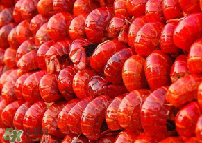 2017盱眙龍蝦節(jié)幾天？從什么時(shí)候開始到什么時(shí)候結(jié)束？