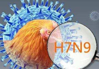 6月有禽流感嗎？2017年6月有禽流感嗎？