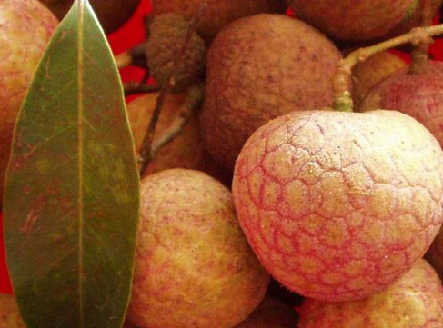 黑葉荔枝好吃嗎？黑葉荔枝多少錢一斤2017？