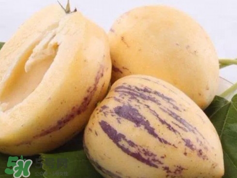 人參果怎么長成人形？人參果為什么長得像人