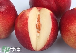 桃駁李是油桃嗎？桃駁李和油桃的區(qū)別