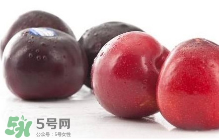 紅布林和黑布林哪個好？紅布林與黑布林的區(qū)別