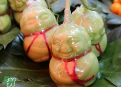 人參果怎么長成人形？人參果為什么長得像人