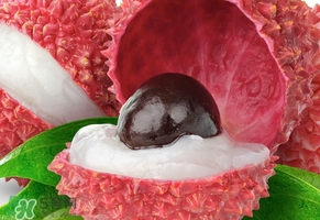 荔枝王是什么品種？荔枝王多少錢一斤2017？