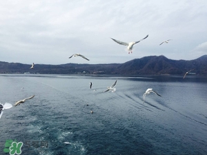 7月份去日本穿什么？七月份去日本穿什么衣服