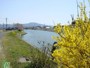 7月份去日本穿什么？七月份去日本穿什么衣服