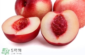 桃駁李是油桃嗎？桃駁李和油桃的區(qū)別