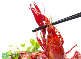 潛江龍蝦節(jié)2017節(jié)目單 2017潛江龍蝦節(jié)節(jié)目單 潛江龍蝦節(jié)2017節(jié)目單 2017潛江龍蝦節(jié)節(jié)目單