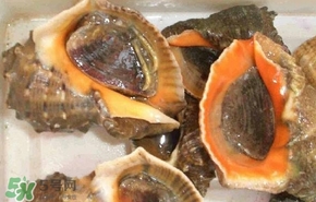 海螺是發(fā)物嗎？海螺是不是發(fā)物