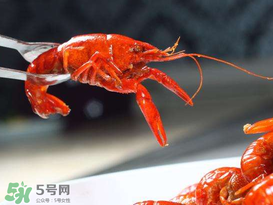 潛江小龍蝦有什么特色？潛江龍蝦節(jié)是每年什么時(shí)候？ 