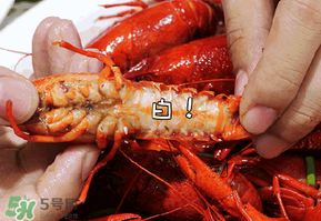 潛江小龍蝦和盱眙小龍蝦哪個(gè)有名？哪個(gè)好吃？