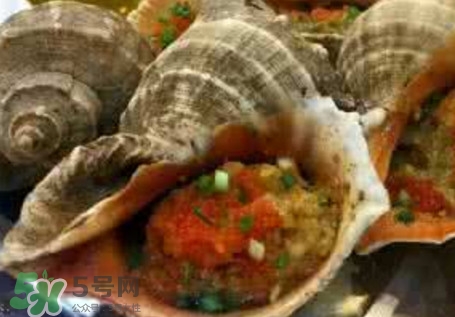 死海螺能吃嗎？死海螺可以吃嗎