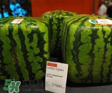 方形西瓜哪里有賣的？哪里可以買到方形西瓜