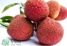 黑葉荔枝和妃子笑哪個(gè)好吃？黑葉荔枝和妃子笑的區(qū)別