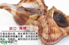 死海螺能吃嗎？死海螺可以吃嗎