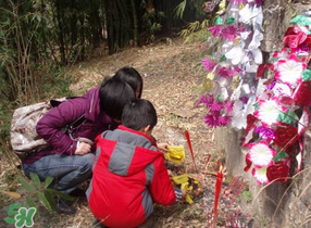 2017父親節(jié)可以上墳嗎？父親節(jié)能給父親上墳嗎？