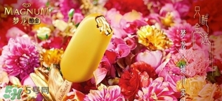 夢龍冰淇淋多少錢一個？夢龍冰淇淋價(jià)格