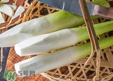 篙芭是什么菜?篙芭長(zhǎng)什么樣子? 篙芭是什么菜?篙芭長(zhǎng)什么樣子?