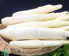 篙芭的營養(yǎng)價值_篙芭的功效與作用及食用方法 篙芭的營養(yǎng)價值_篙芭的功效與作用及食用方法