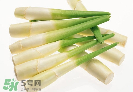 篙芭的營養(yǎng)價值_篙芭的功效與作用及食用方法 篙芭的營養(yǎng)價值_篙芭的功效與作用及食用方法