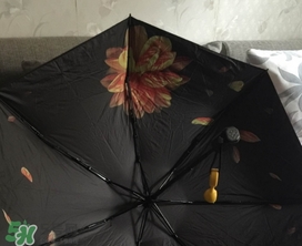 蕉下小黑傘能遮雨嗎？蕉下太陽傘能淋雨嗎？