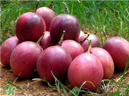 百香果好吃嗎？百香果什么味道？