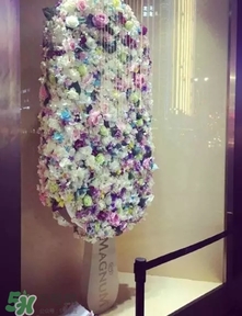 夢龍冰淇淋多少錢一個(gè)？夢龍冰淇淋價(jià)格