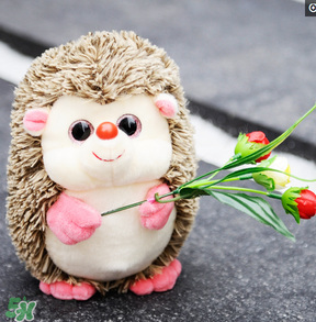 cafemimi玻尿酸鴨哪里有？cafemimi玻尿酸鴨怎么買？