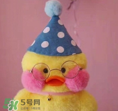 玻尿酸鴨哪里可以買到？一個(gè)玻尿酸鴨多少錢？