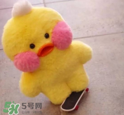 玻尿酸鴨哪里可以買到？一個(gè)玻尿酸鴨多少錢？