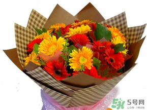 父親節(jié)可以送花嗎？父親節(jié)送什么花最合適？