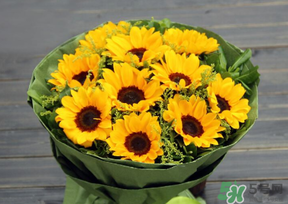 父親節(jié)可以送花嗎？父親節(jié)送什么花最合適？