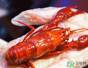 2017蘇州龍蝦節(jié)什么時候_時間_地點_活動內(nèi)容 2017蘇州龍蝦節(jié)什么時候_時間_地點_活動內(nèi)容