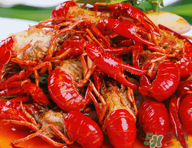 2017即墨首屆龍蝦節(jié)時間_地點_門票 2017即墨首屆龍蝦節(jié)時間_地點_門票