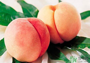 水蜜桃不能和什么一起吃？水蜜桃和什么不能一起吃？