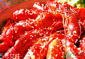 2017保定龍蝦節(jié)是什么時候？在哪里舉辦？