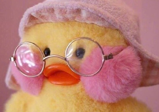 為什么叫玻尿酸鴨？cafemimi玻尿酸鴨名字的由來(lái)