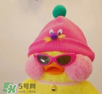 玻尿酸鴨是什么？cafemimi玻尿酸鴨為什么這么火