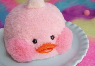 玻尿酸鴨哪里可以買到？一個玻尿酸鴨多少錢？