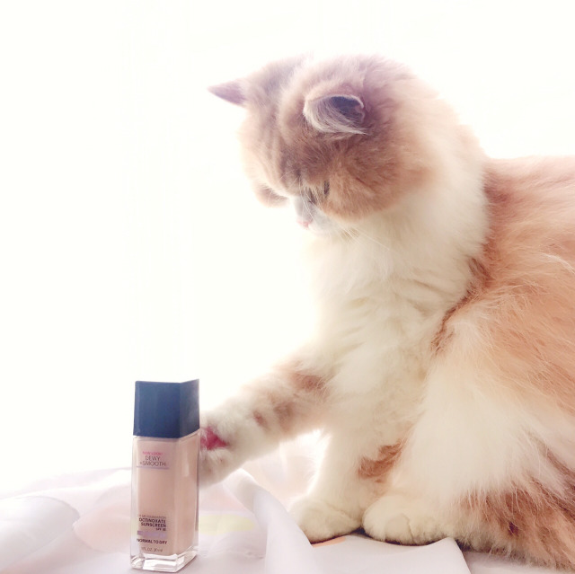 正確的化妝順序步驟 8步就能化完妝 正確的化妝順序步驟 8步就能化完妝