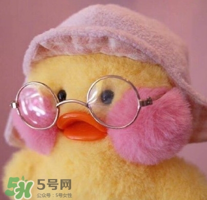 玻尿酸鴨是什么？cafemimi玻尿酸鴨為什么這么火