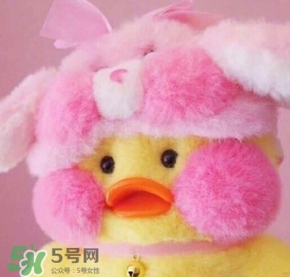 玻尿酸鴨是什么？cafemimi玻尿酸鴨為什么這么火