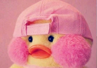 玻尿酸鴨是什么？cafemimi玻尿酸鴨為什么這么火