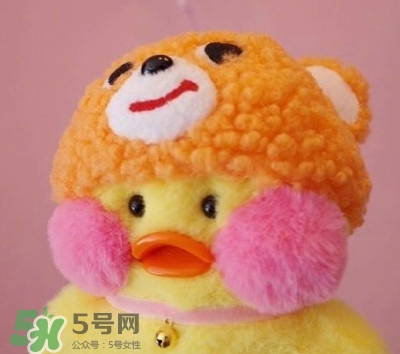 玻尿酸鴨是什么？cafemimi玻尿酸鴨為什么這么火