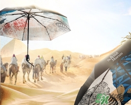 天堂傘怎么打開？天堂傘怎么收起